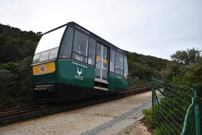 Peninsula Tour - Boulders Beach and the African Penguins