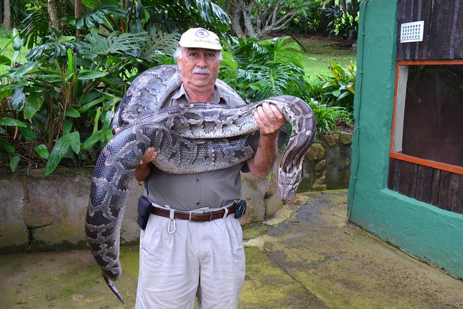 Phezulu Cultural Village & Reptile Park Day Tour from Durban - How the strongest parts fit together