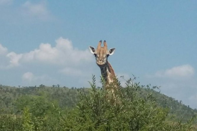 Pilanesberg camping Safari from Johannesburg - The late-afternoon drive and dinner by the fire