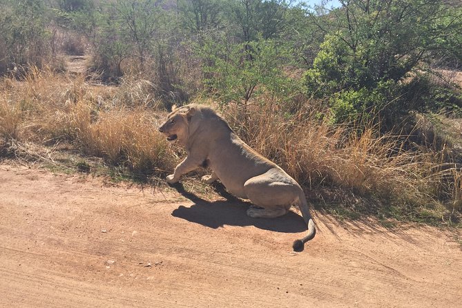 Pilanesberg camping Safari from Johannesburg - What the canvas tent is really like