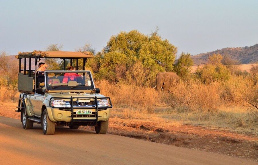 Pilanesberg Full-Day Shared Safari with Sun City Visit - Why this Pilanesberg and Sun City pairing works