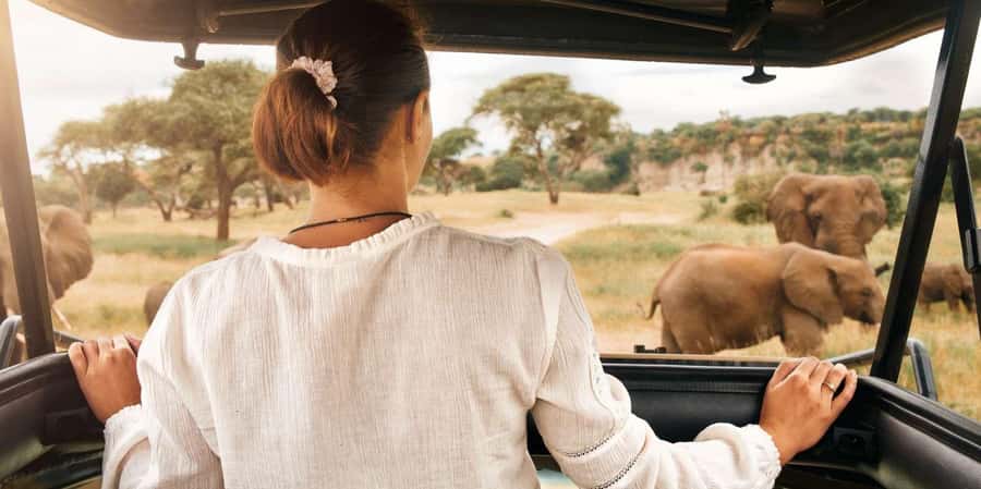 Pilanesberg Morning or Afternoon 3 Hour Game Drive - Key points to know before booking
