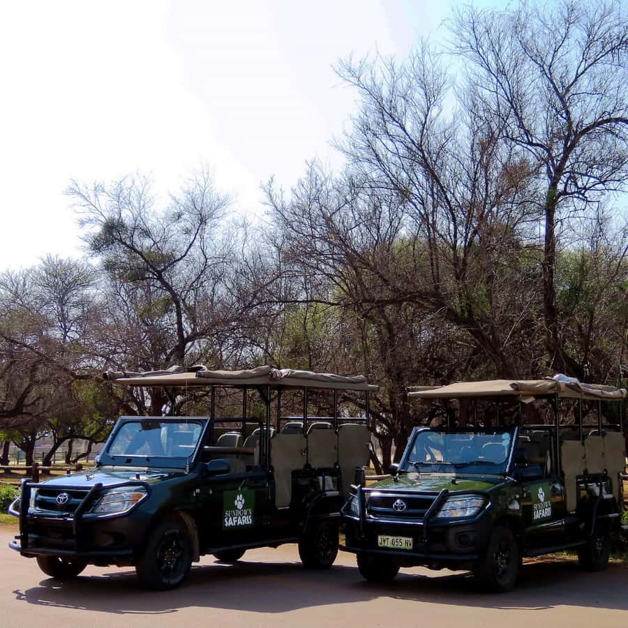 Pilanesberg Morning or Afternoon 3 Hour Game Drive - The three-hour game drive inside Pilanesberg