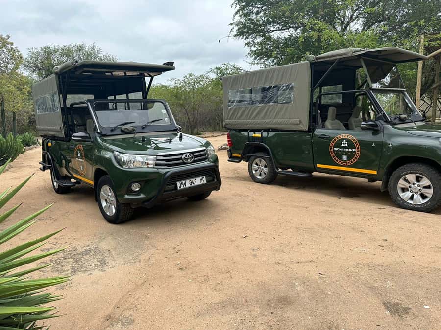 Pilanesberg Morning or Afternoon 3 Hour Game Drive - Birdlife and the smaller details
