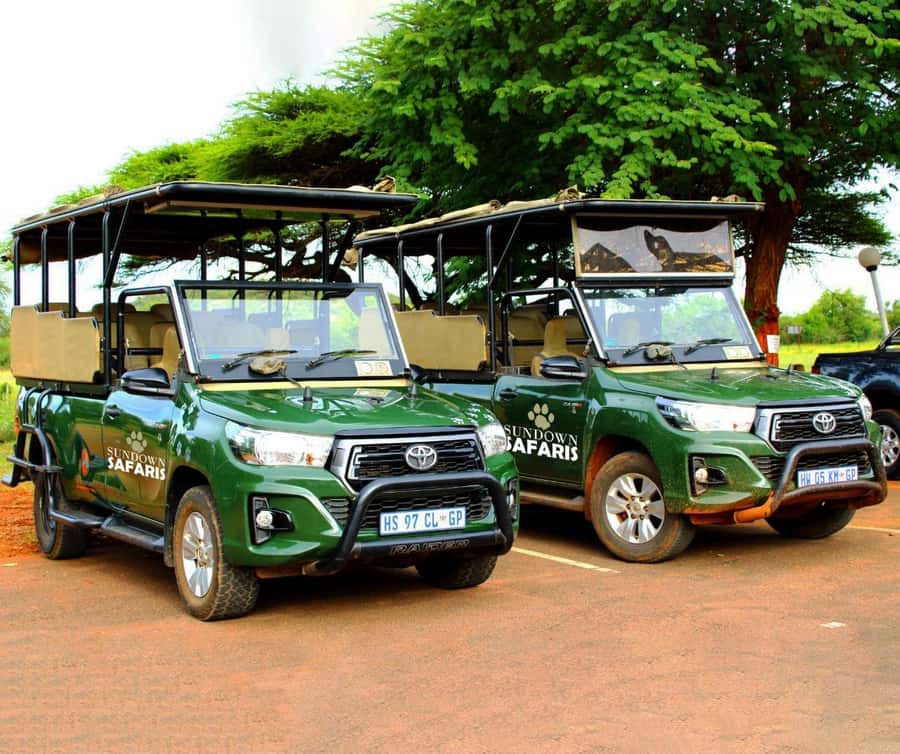 Pilanesberg Morning or Afternoon 3 Hour Game Drive - Morning or afternoon: which departure should you choose?