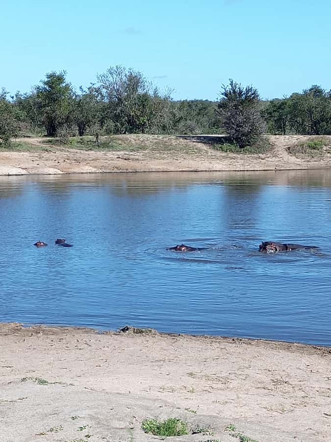 Pilanesberg National Park - What the $248 Price Buys You