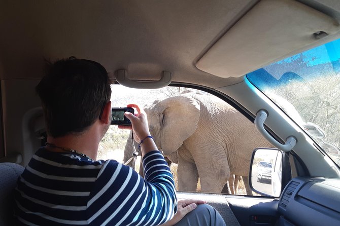 Pilanesberg National Park Day Tour from Pretoria, every SATURDAY - The malaria-free advantage