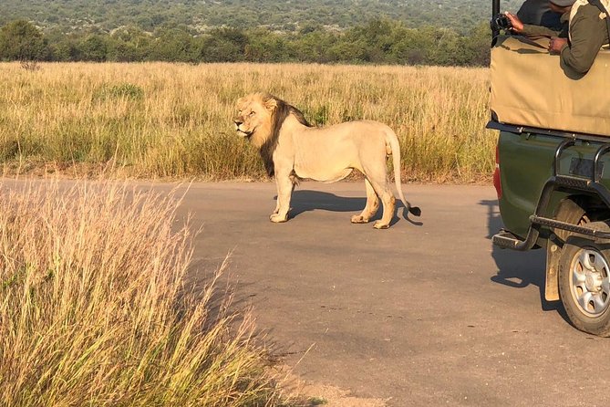 Pilanesberg National Park Full Day Safari From Johannesburg - Leaving Johannesburg at 6:00 am