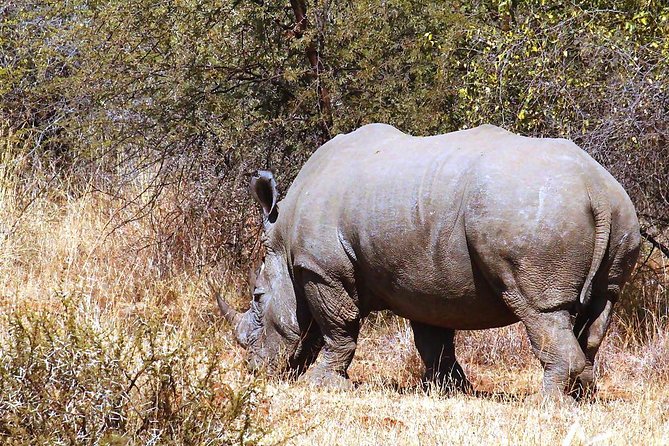 Pilanesberg National Park Full Day Safari From Johannesburg - Lunch, water, and the cost of the day