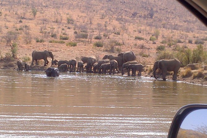 Pilanesberg National Park Full-Day Tour from Johannesburg - The early pickup from Johannesburg, Centurion, or Pretoria