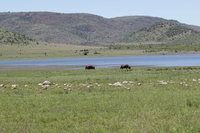 Pilanesberg National Park Full-Day Tour from Johannesburg - What the small group changes