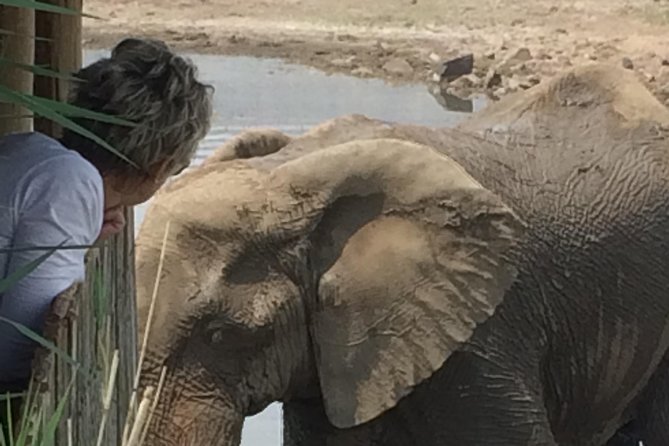 Pilanesberg National Park Safari in Open Vehicle from Johannesburg - Changing from the minibus to the open vehicle