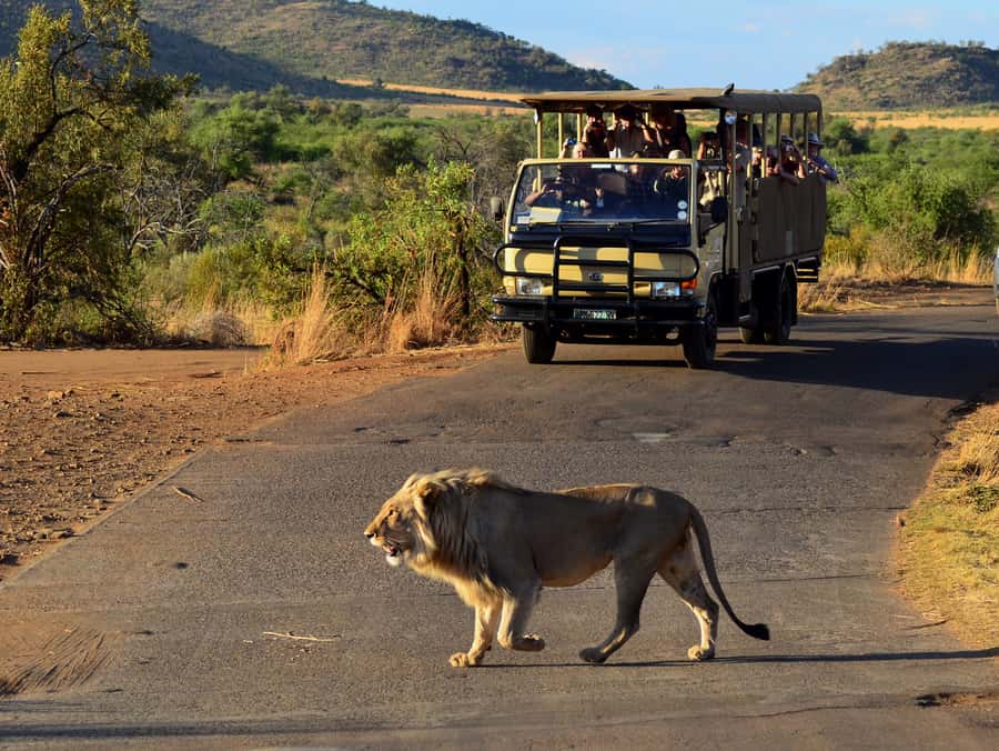 Pilanesberg National Park/Sun City Hot Air Balloon Safari - How much value do you get for $421?