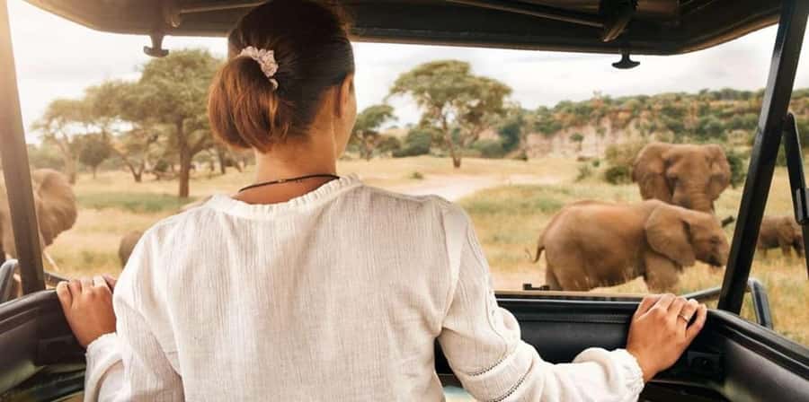 Pilanesberg: Two-Day Camping Adventure from Johannesburg - Why Pilanesberg works for a two-day safari