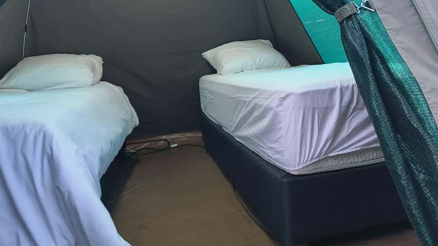 Pilanesberg: Two-Day Camping Adventure from Johannesburg - Day two begins before breakfast