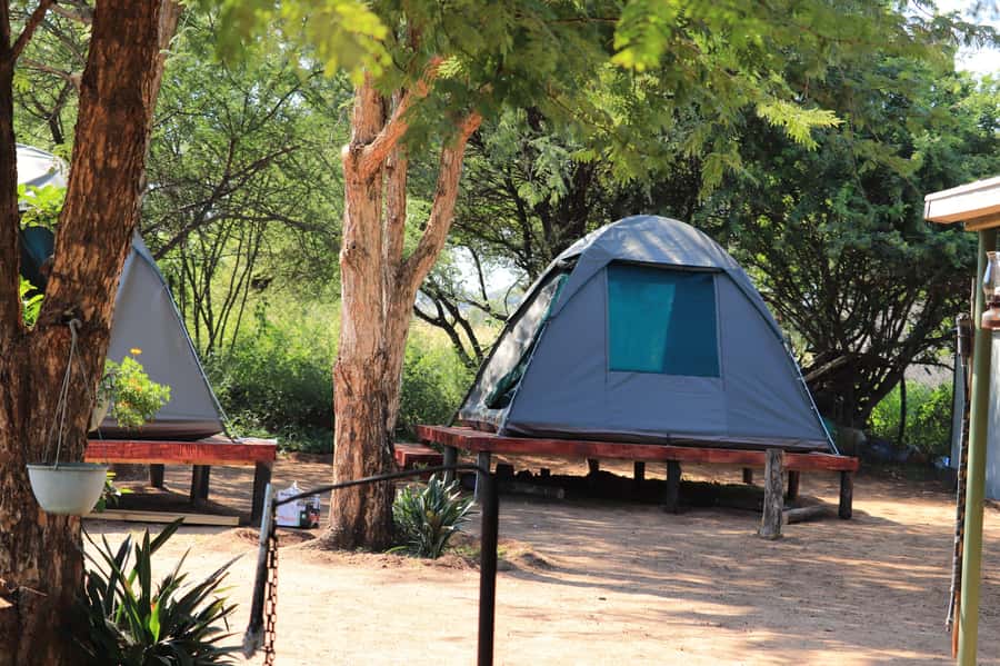 Pilanesberg: Two-Day Camping Adventure from Johannesburg - Your midday choice: another drive or more camp time
