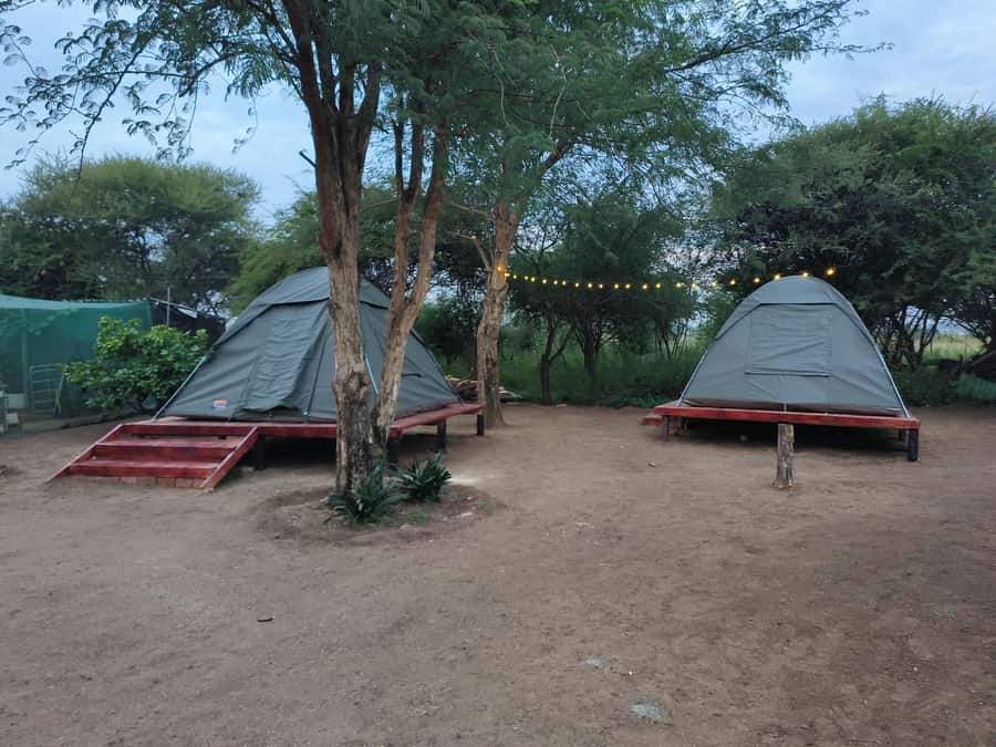 Pilanesberg: Two-Day Camping Adventure from Johannesburg - What $329 buys you