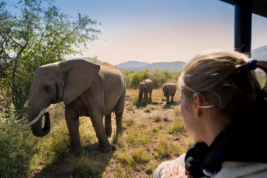 Pilanesberg: Two-Day Camping Adventure from Johannesburg - The early road from Johannesburg