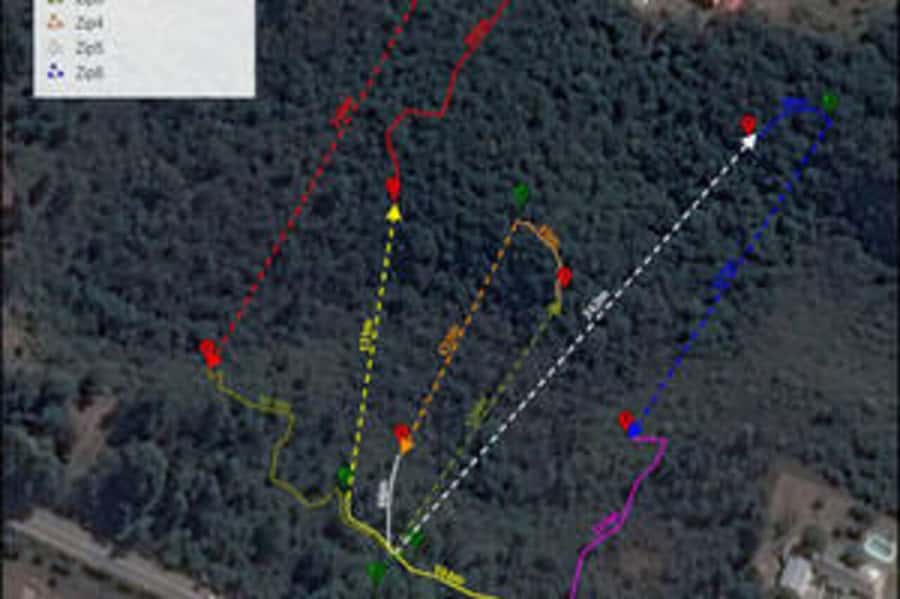 Plettenberg: 2-Hour Zipline Tour - Six lines through Plettenberg’s forest