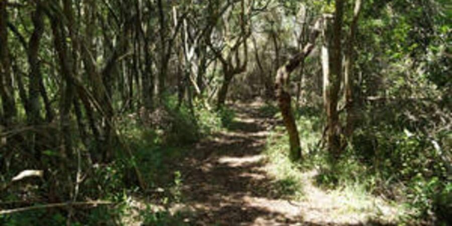 Plettenberg: 2-Hour Zipline Tour - The final ride back to the starting point