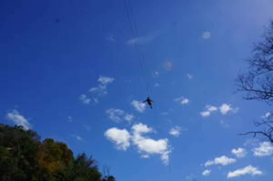 Plettenberg: 2-Hour Zipline Tour - Who should book this Plettenberg zipline?