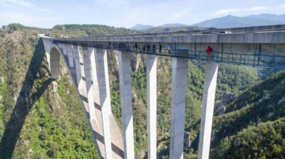 Bloukrans Bridge Skywalk Tour and HangOut