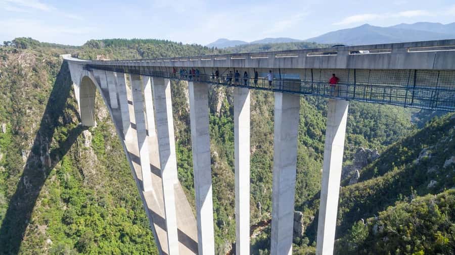 PLETTENBERG BAY: Bloukrans Bridge Skywalk Tour and HangOut - Starting at Bloukrans Bridge