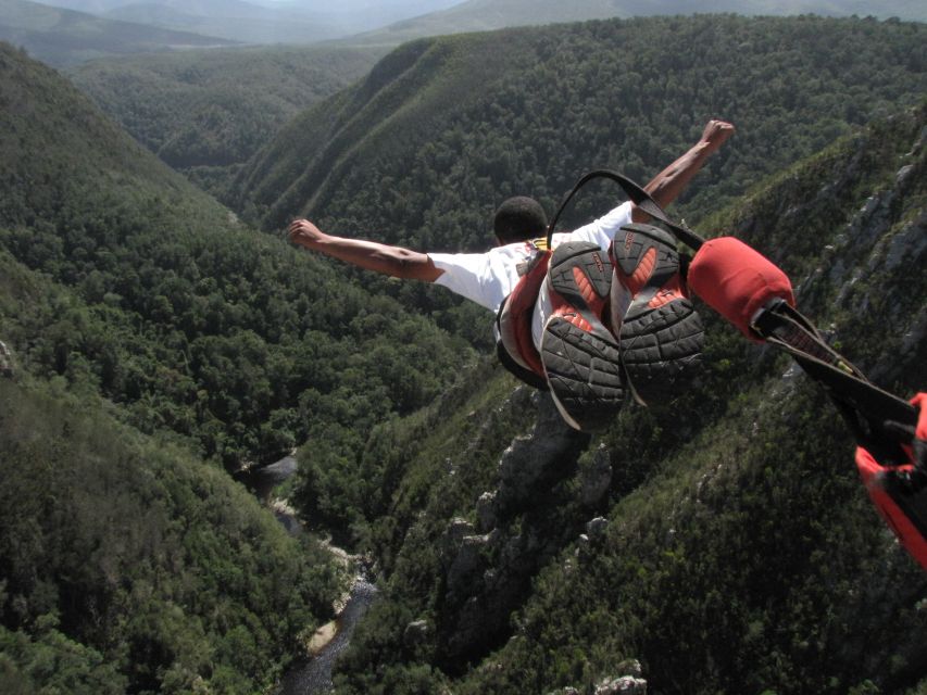 Plettenberg Bay: Bungee Jumping with Zipline and Sky Walk - The Zipline to the Bridge Arch