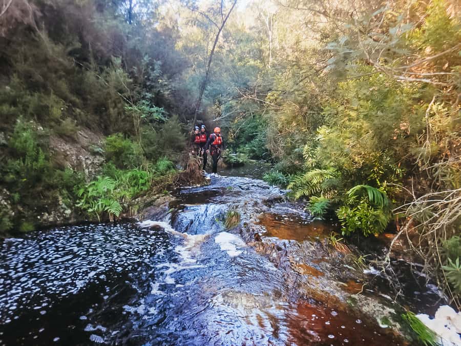 Plettenberg Bay: Canyoning Trip - From base camp to the canyon entrance