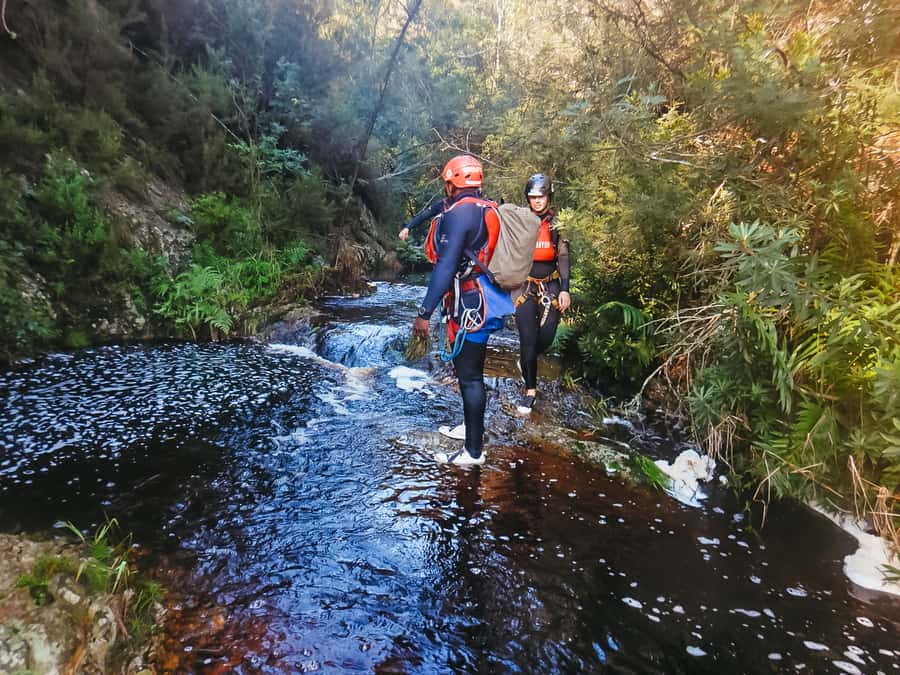 Plettenberg Bay: Canyoning Trip - Swimming through indigenous forest