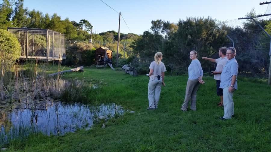 Plettenberg Bay: Cats in Conservation Full Day Tour - Key points before you book
