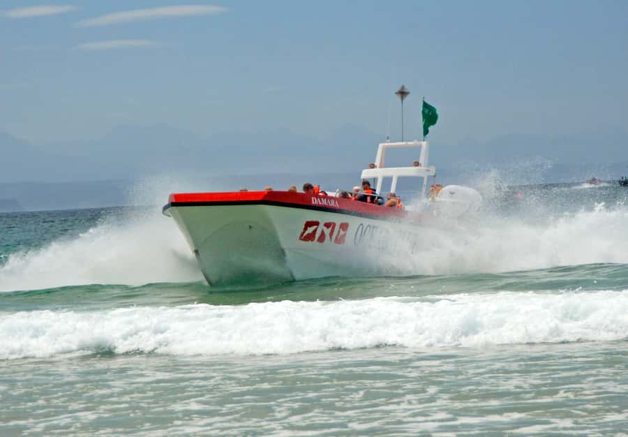 Plettenberg Bay: Dolphin and Marine Boat Tour - Along Keurbooms Beach toward Arch Rock