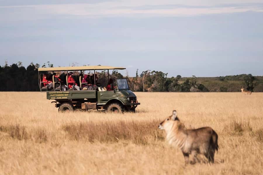 Plettenberg Bay Game Reserve: 2-Hour Game Drive - Key points to know before you book