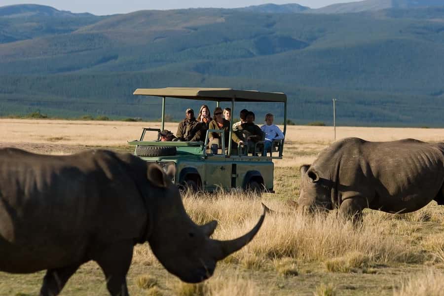 Plettenberg Bay Game Reserve: 2-Hour Game Drive - A short safari with a real sense of place