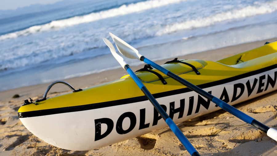 Plettenberg Bay: Guided Sea Kayak Tour - Paddling along a route shaped by the sea