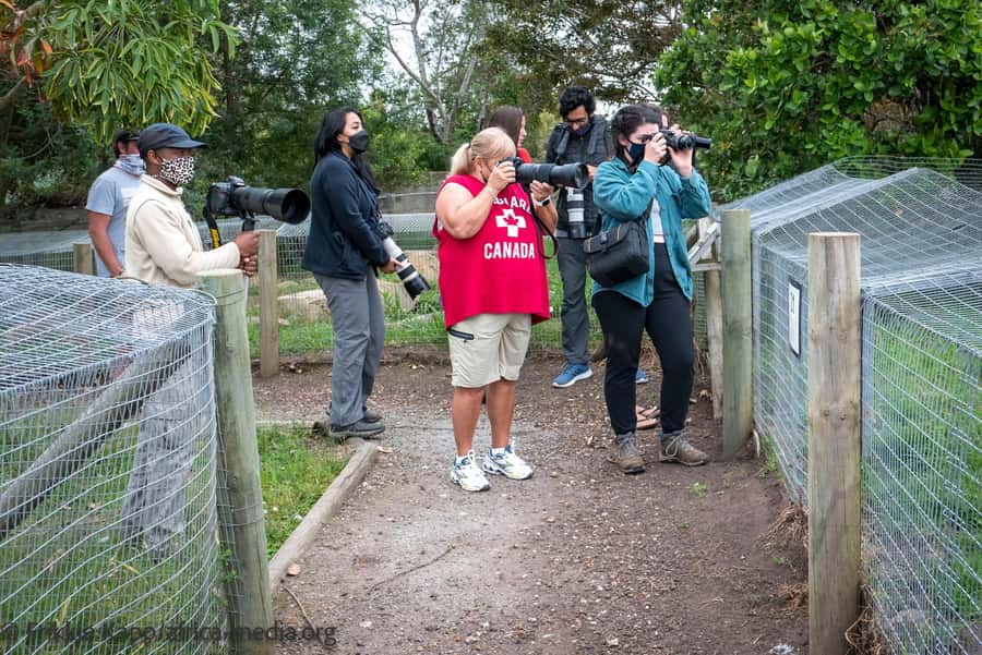 Plettenberg Bay: Private Guided Wildlife Photography Tour - Key points to know before booking