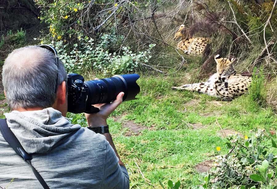 Plettenberg Bay: Private Guided Wildlife Photography Tour - The opening video and the conservation message