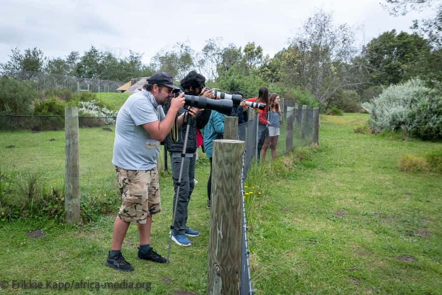 Plettenberg Bay: Private Guided Wildlife Photography Tour - Arrival, safety briefing, and getting your bearings