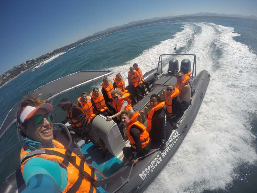 Plettenberg Bay: Seal Colony Viewing Excursion - The crew and the photographs