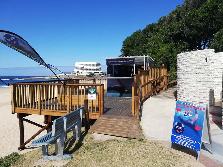 Plettenberg Bay: Seal Swimming Experience - From Hobie Beach to the Robberg seal colony