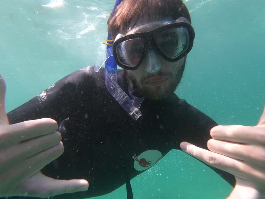 Plettenberg Bay: Seal Swimming Experience - Why the wildlife encounter feels different