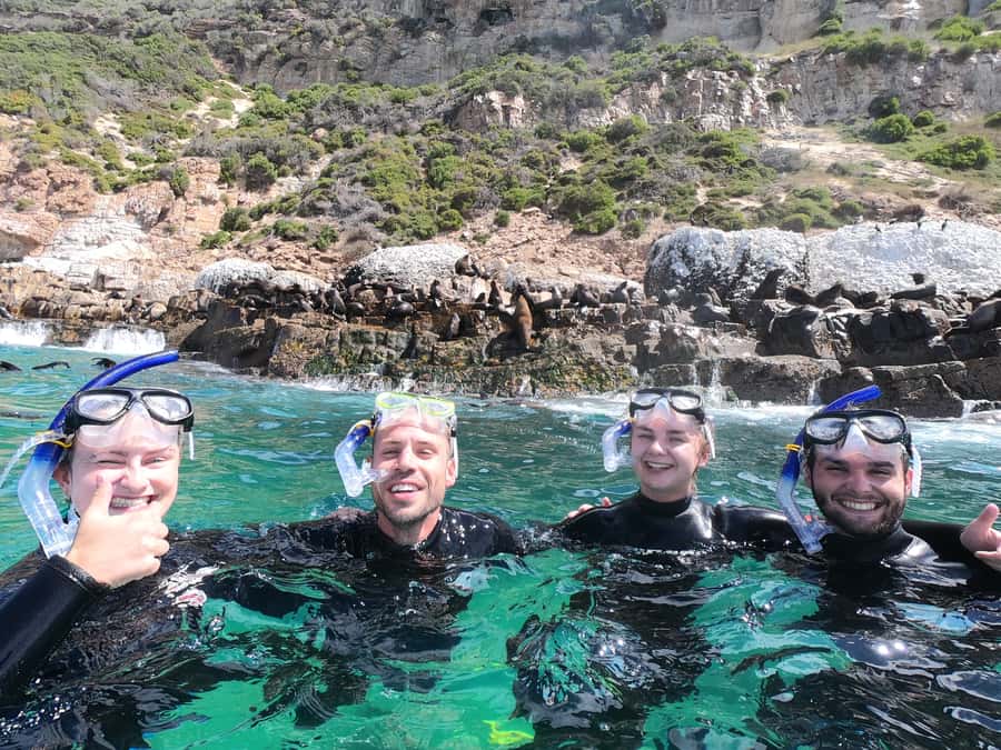 Plettenberg Bay: Seal Swimming Experience - What makes the guides important