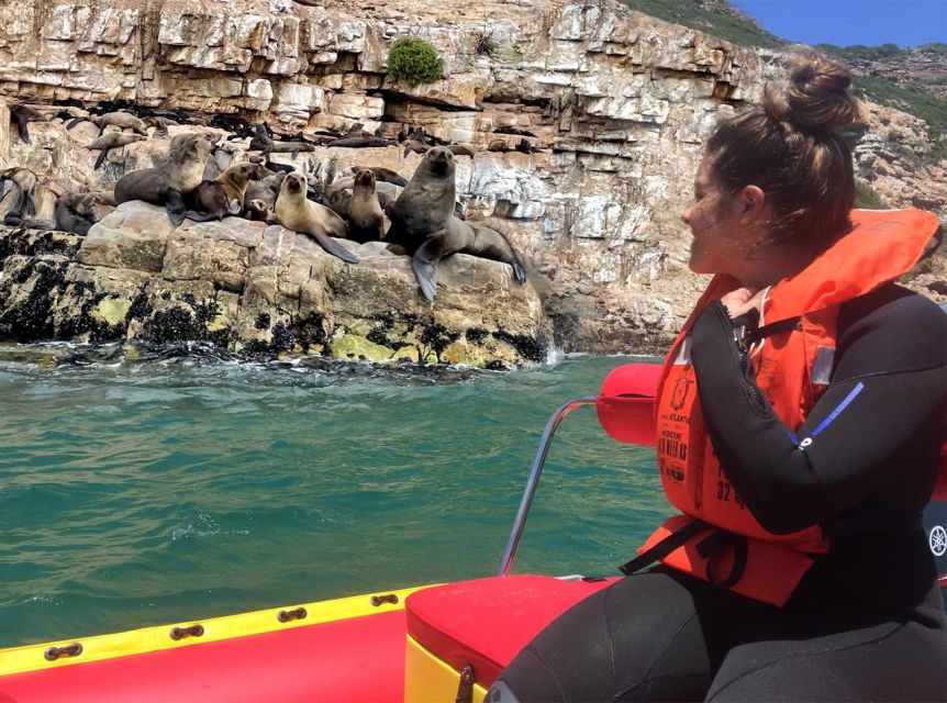 Plettenberg Bay: Seal Viewing Boat Trip - Key things to know before you book