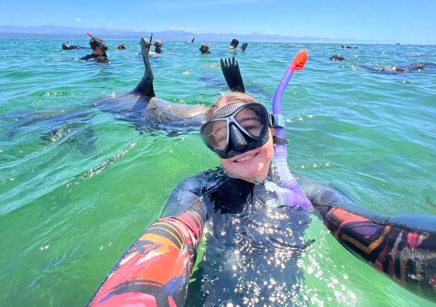 Plettenberg Bay: Seal Viewing Boat Trip - Watching Cape fur seals in their natural environment