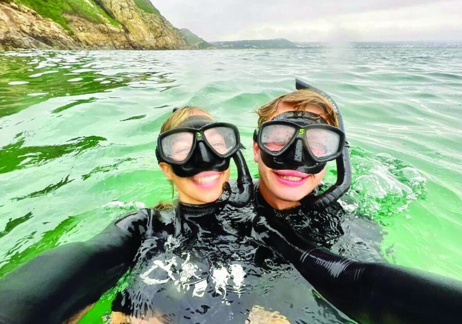 Plettenberg Bay: Seal Viewing Boat Trip - What the $32 price includes