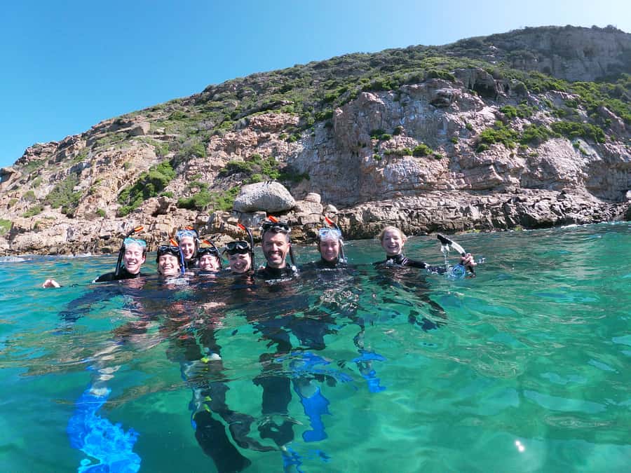 Plettenberg Bay: Swim with Seals - From Central Beach to Robberg by boat