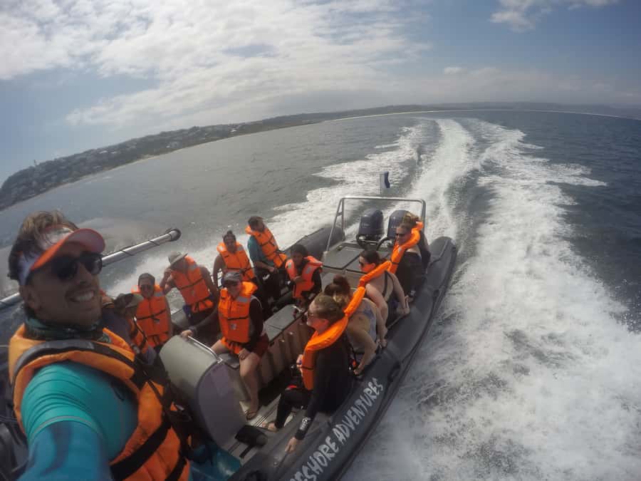Plettenberg Bay: Swim with Seals - Who will enjoy this seal swim most?