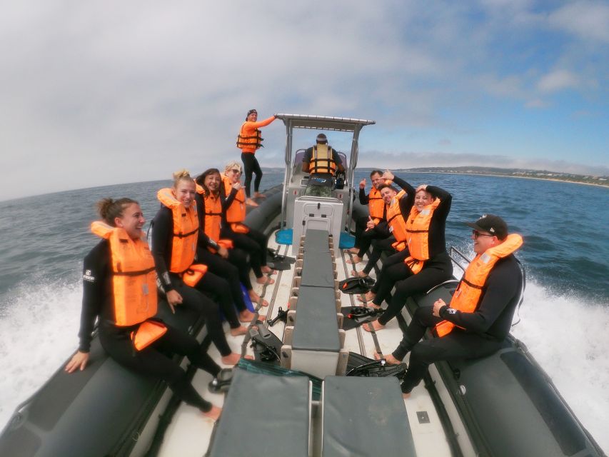 Plettenberg Bay: Swim with Seals - Practical details that make the day easier