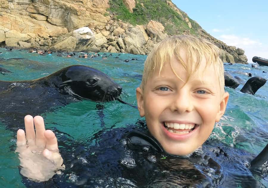 Plettenberg Bay: Swim with the Seals - Key details before you book