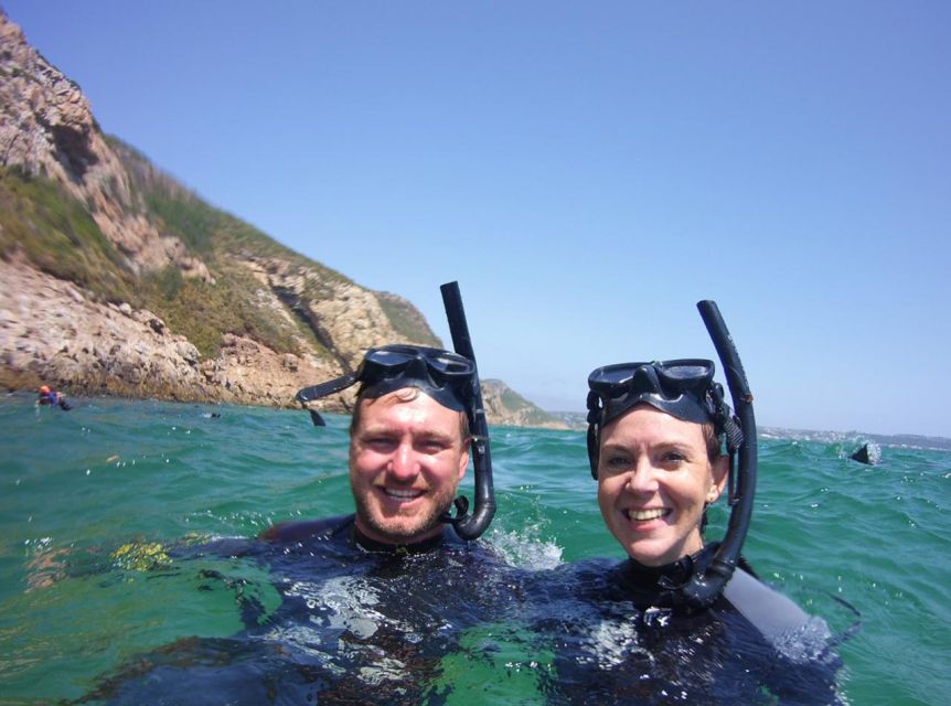 Plettenberg Bay: Swim with the Seals - What the water encounter feels like